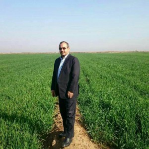 مدیرجهادکشاورزی شادگان خبرداد : آمادگی مراکزخریدگندم شهرستان شادگان از۲۲فروردین ماه جهت تحویل محصولات پاییزه می باشند مدیرجهادکشاورزی شادگان خبرداد : آمادگی مراکزخریدگندم شهرستان شادگان از۲۲فروردین ماه جهت تحویل محصولات پاییزه می باشند