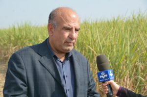 مدیرعامل شرکت توسعه نیشکر و صنایع جانبی: شرکت توسعه نیشکر تنها تولید کننده شکر دارویی در خاورمیانه است مدیرعامل شرکت توسعه نیشکر و صنایع جانبی: شرکت توسعه نیشکر تنها تولید کننده شکر دارویی در خاورمیانه است